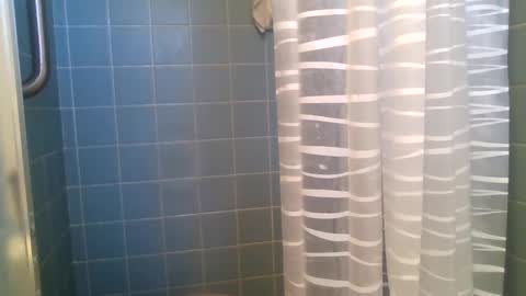 Snapshot of lookatmyjunk1 chatting on December 30, 2024, 5:13 pm thedestroyer online show from December 30, 2024, 5:13 pm