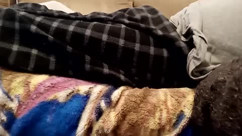 Snapshot of looking4bush chatting on December 1, 2024, 7:36 pm looking4bush online show from December 1, 2024, 7:36 pm