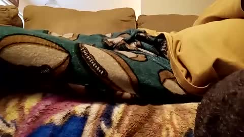 Snapshot of looking4bush chatting on December 15, 2024, 8:04 pm looking4bush online show from December 15, 2024, 8:04 pm