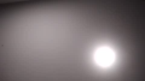 Snapshot of lorenztaylor chatting on December 12, 2024, 3:32 am lorena online show from December 12, 2024, 3:32 am