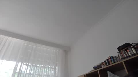 Snapshot of lostcausenef chatting on February 1, 2025, 6:40 pm nefisa nef online show from February 1, 2025, 6:40 pm