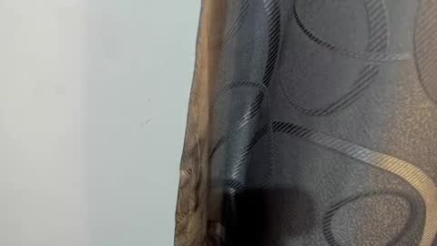 lotto_bloom online show from January 14, 2026, 12:33 pm