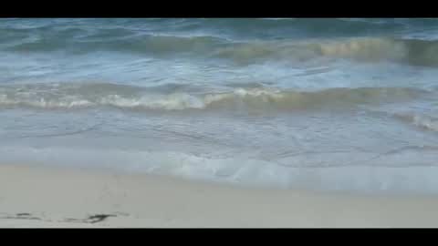 Louis online show from November 5, 2025, 9:04 pm