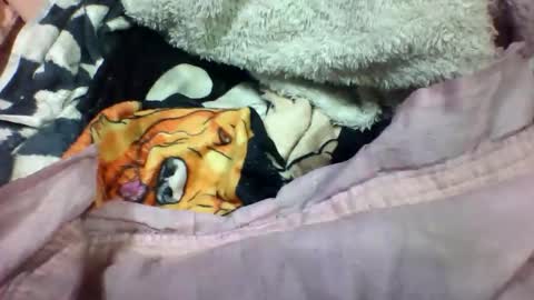 lovaelisa online show from November 2, 2025, 2:52 pm