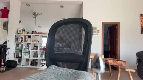 Loveisperfect online show from January 17, 2026, 10:31 am