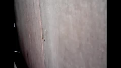 Khatty online show from January 22, 2025, 2:03 pm