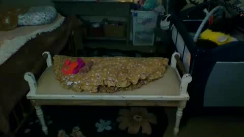 Snapshot of lovetubes101 chatting on September 19, 2025, 1:18 am lovetubes101 online show from September 19, 2025, 1:18 am