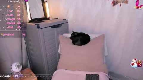 Danna online show from December 3, 2025, 10:52 pm