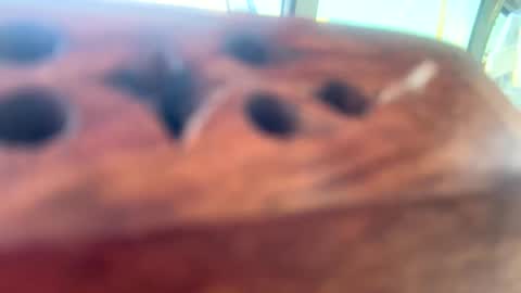 Snapshot of loveyourkittty chatting on March 12, 2025, 10:17 pm StacyMaeWish online show from March 12, 2025, 10:17 pm