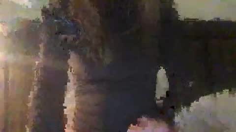 lozivelle online show from November 12, 2025, 5:41 am