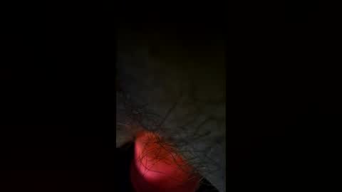 Snapshot of ls170955 chatting on July 7, 2026, 5:17 pm lateralus online show from July 7, 2026, 5:17 pm