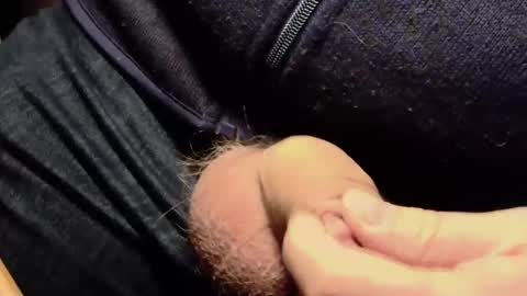 Snapshot of lt645 chatting on December 7, 2024, 8:11 am Lt645 online show from December 7, 2024, 8:11 am