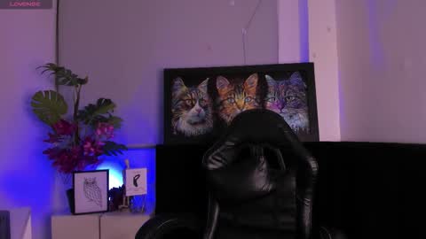 lucascarterr online show from October 25, 2025, 3:58 am