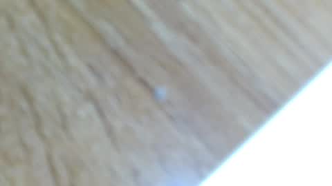 Snapshot of lucie_nicolls chatting on December 13, 2024, 12:31 am Lucie online show from December 13, 2024, 12:31 am