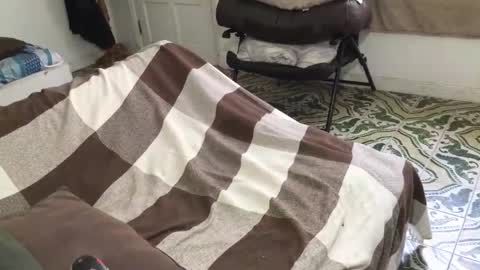 lucifer_curious online show from March 28, 2026, 4:39 pm