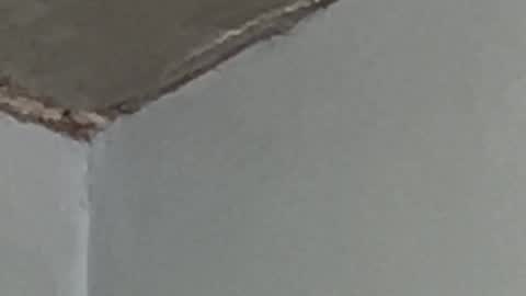 Lucien online show from September 17, 2025, 2:57 am