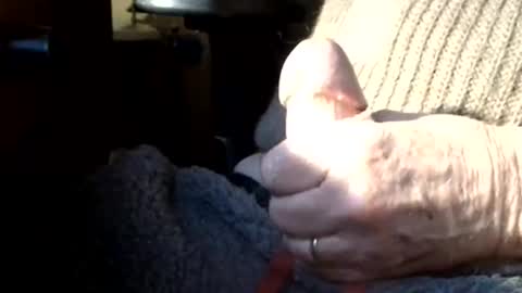 BIG Daddy cock. Tips make it harder  online show from March 8, 2026, 10:08 am