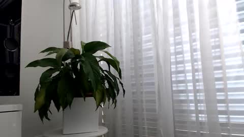 luckystrike6981 online show from April 22, 2026, 1:56 pm