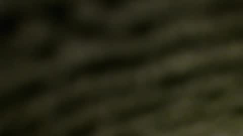 lucretiasissygothic online show from November 25, 2025, 5:07 am