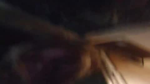 Lucy Vybes and Go-Gert online show from March 4, 2025, 7:08 am