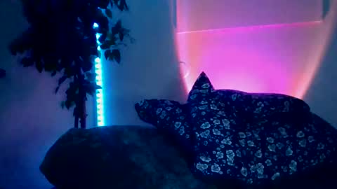 luisjg24hrs online show from May 18, 2026, 8:42 am