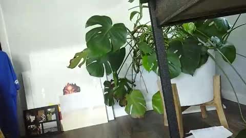 Luke online show from March 15, 2026, 7:31 pm