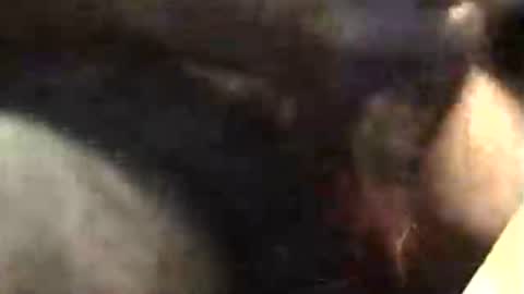 lukestarfckr online show from November 18, 2025, 5:34 am