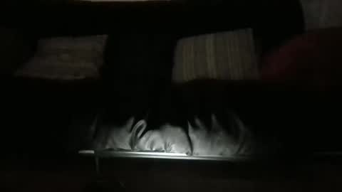 lukusdukus online show from October 11, 2025, 10:47 am