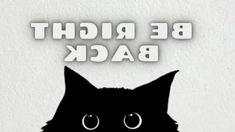 elizabeth online show from June 22, 2026, 11:57 pm