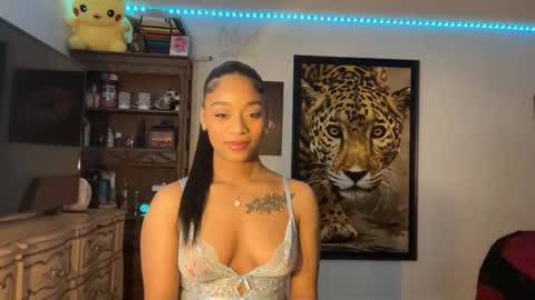 Snapshot of lunaa_11 chatting on January 4, 2025, 5:27 am lunaa_11 online show from January 4, 2025, 5:27 am