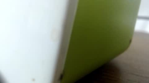 luna online show from October 5, 2025, 2:10 am