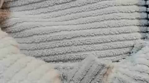 lustgardener67 online show from December 15, 2024, 4:48 pm