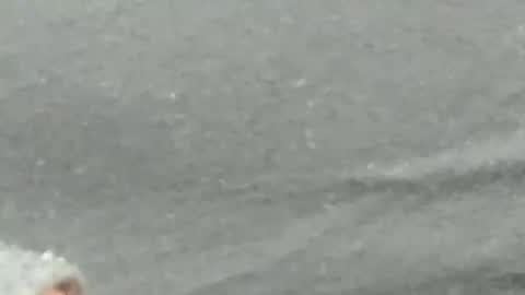 lustgardener67 online show from February 4, 2025, 9:28 am