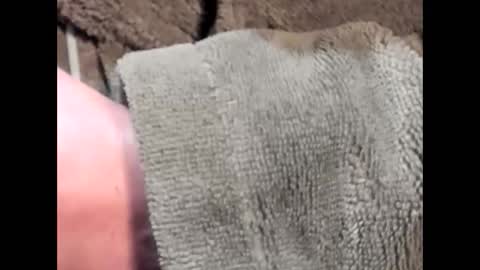 lustgardener67 online show from March 4, 2025, 7:19 am