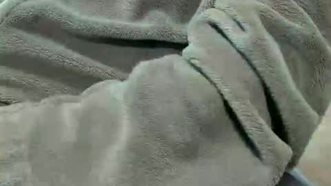 lustgardener67 online show from October 7, 2025, 7:11 pm