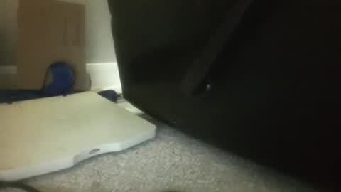 luv269er online show from November 13, 2025, 6:23 am