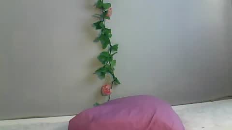 Bee Bee online show from October 22, 2025, 2:34 am