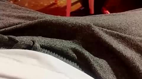 Lvac11 online show from December 21, 2024, 10:30 pm