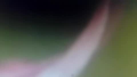 lydiasarch online show from April 10, 2026, 8:24 pm