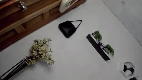 Janelovesu online show from December 16, 2025, 7:24 am