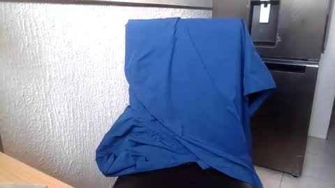 NiceDick online show from November 27, 2025, 4:42 pm