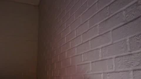 Snapshot of m831481 chatting on December 5, 2024, 7:27 am Hotandhairy online show from December 5, 2024, 7:27 am