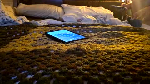 MARCUSNYX online show from April 6, 2026, 6:47 am