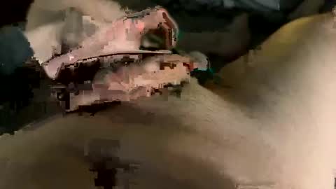 Maasssiv online show from March 2, 2025, 9:42 am