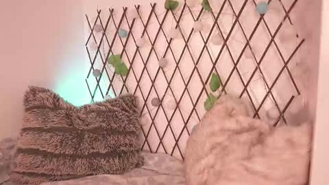 Snapshot of mackenziemoon chatting on November 28, 2025, 7:27 pm Noah Askew online show from November 28, 2025, 7:27 pm