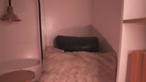 Snapshot of mackenziemoon chatting on December 15, 2025, 8:35 pm Noah Askew online show from December 15, 2025, 8:35 pm