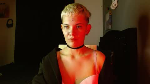 Snapshot of mackenziemoon chatting on January 14, 2026, 8:09 am Noah Askew online show from January 14, 2026, 8:09 am