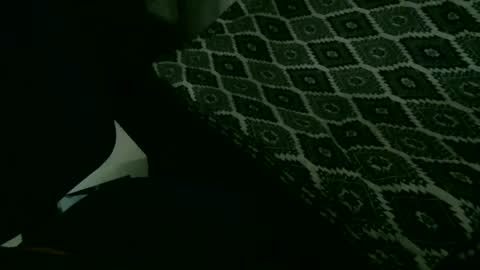 Snapshot of madeinchina6969 chatting on February 24, 2025, 6:47 pm madeinchina6969 online show from February 24, 2025, 6:47 pm