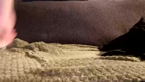 Snapshot of mako998843 chatting on January 6, 2026, 10:01 pm mako998843 online show from January 6, 2026, 10:01 pm