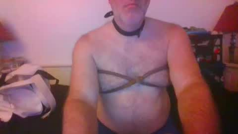 Snapshot of malebdsmslut chatting on October 14, 2025, 7:31 am CommandbondageNipples bondage kink submissive lovense slave wgear. modequiethvyBondage If Password goldfish online show from October 14, 2025, 7:31 am